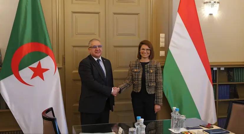 Algerian-Hungarian political consultations: Magramane, Hungarian counterpart co-chair 3rd session